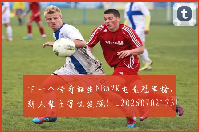 下一个传奇诞生NBA2K电竞冠军榜，新人辈出等你发现！_20260702173147